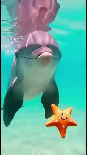 Cute animals #cuteanimals