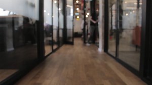 Busy, Office, People. Free Stock Video