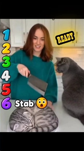 Ranking The Funniest Cat Prank Moments! 😹​#shorts #Cats #CatPranks #FunnyCats #ViralCats
