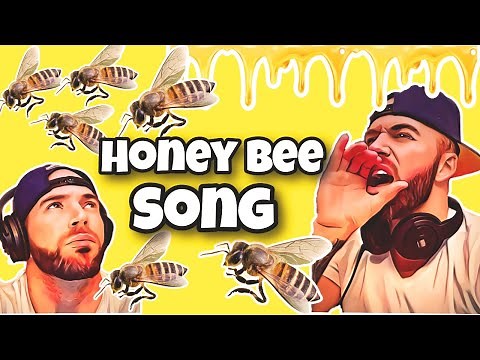Learning About Honey Bees - Workers, Drones & Queen Bees ( FUNdamental RAPS )Educational Music Video