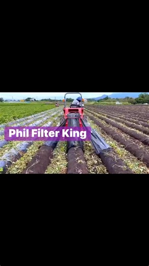 In 🇯🇵Japan, sweet potato farm harvesting and processing technology! Details are everywhere, such as collecting mulch, automatically raising sweet potatoes, burning beard roots on the assembly line, cleaning on the assembly line, and feel the unique agricultural technology.🇯🇵日本では、サツマイモ農場の収穫と加工技術を見学できます！マルチ収集、サツマイモの自動栽培、ヒゲ根の焼却、洗浄など、細部までこだわった作業が随所に見られ、独自の農業技術を体感できます。🇯🇵 Nihonde wa, satsumaimo nōjō no shūkaku to kakō gijutsu o kengaku dekimasu! Maruchi shūshū, satsumaimo no jidō saibai, hige ne