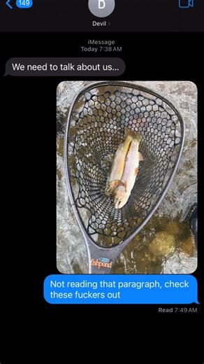 Jamison on Instagram: "Jake brakes are a type of compression release engine brake used on diesel engines, typically in big trucks. They work by releasing compressed air in the engine’s cylinders, which helps slow down the vehicle. The distinctive loud popping or hissing sound they make is pretty iconic. 🚚💨"