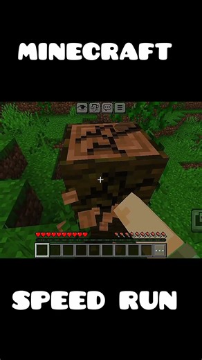 MINECRAFT Speedrun Part 1 | Can I Beat Minecraft FAST? #shorts #ytshorts #sulyflyx #minecraft #speed