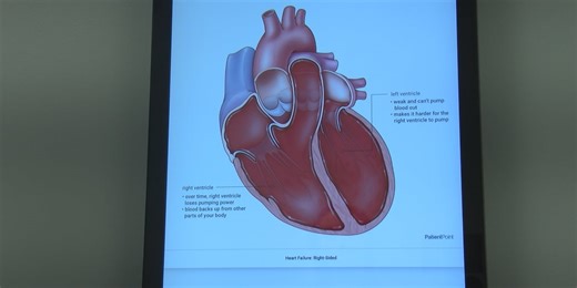 Cardiovascular health tips for women during American Heart Month