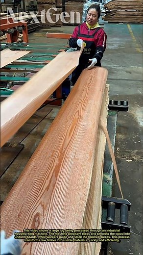 From Log to Perfect Boards – Satisfying Wood Processing!