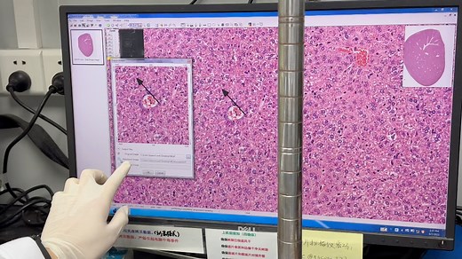 Leica切片扫描仪操作