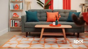 Spot Pet Insurance TV Spot, 'Nine Lives: 90% Cash Back'