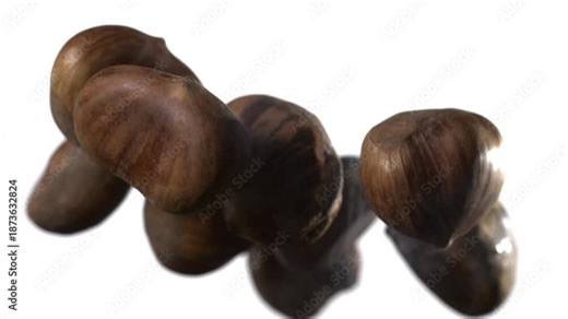 Super slow motion Arrangement of glossy chestnuts in compact form suitable for catalogs and product displays