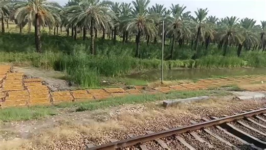 Prof.Mobeen Mirza (@master_graphicsofficial)’s videos with original sound - Prof.Mobeen Mirza