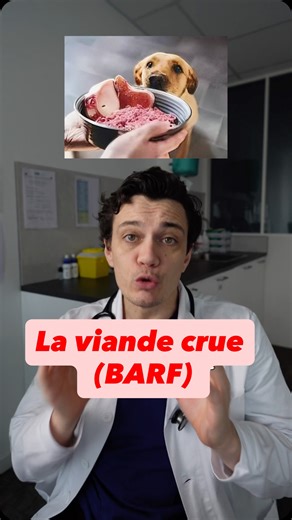 SUPERVET - Dr ludo P. on Instagram: "La viande crue pour ton animal #barf #petfood #veterinaria #vet SOURCES : Davies RH, Lawes JR, Wales AD. Raw diets for dogs and cats: a review, with particular reference to microbiological hazards. J Small Anim Pract. 2019. (Revue critique centrée sur risques microbio/zoonoses). Schlesinger DP, Joffe DJ. Raw food diets in companion animals: A critical review. Can Vet J. 2011. Lyu Y, et al. Current Evidence on Raw Meat Diets in Pets… Animals (MDPI). 2025. Nües
