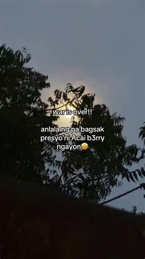 Explore Benefits of Açaí Berry Juice