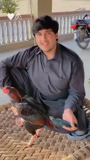 Ahmad@ryan. on TikTok