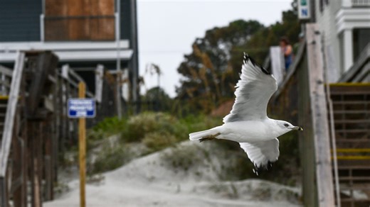 Hurricane Dorian: Live video from SC and NC coast as storm approaches