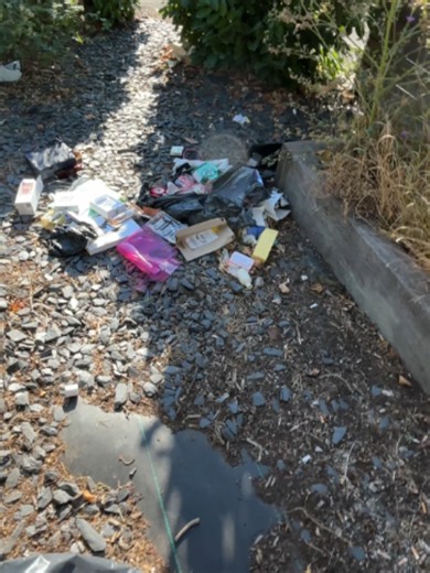 DAY 211 OF LITTER PICKING #litterpicking #dailychallenge #rubbishclearance #cleanup #day211