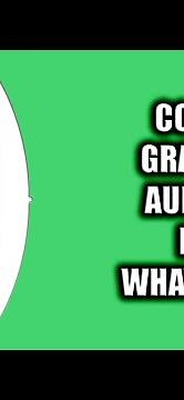 How to record audio on WhatsApp