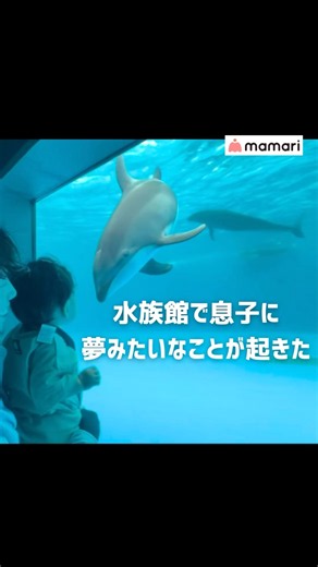 Rare footage of a dolphin’s amazing interaction that stunned everyone nearby🐬✨#baby #dolphin #Kam...