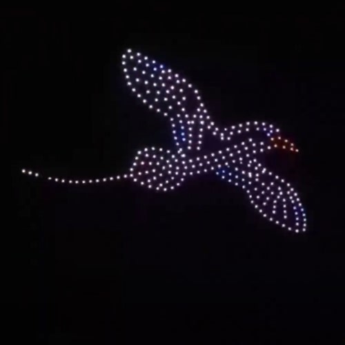 Photos & Video: Bermuda Themed Drone Show - Bernews