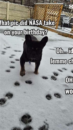 WOW I DIDNT KNOW!! #moon #stars #Nasa #mybday #roblox #adoptme #robloxedit #rfunny #memes #artwork x