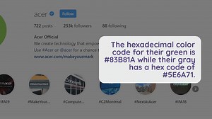 Acer Color Palette HEX, RGB & HSL