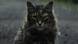 Crítica de Cementerio de Animales