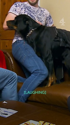 Dave is always stealing the show! 🤣 #Gogglebox | Channel 4