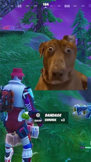 Fortmemes or Fortnite with memes 😂🎮 Enjoy #fortnite #fortnitefunny #fortnitefunnymoments