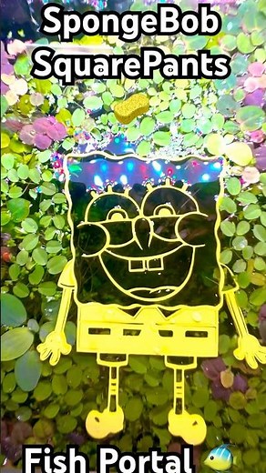 SpongeBob Fish Portal! 🧽