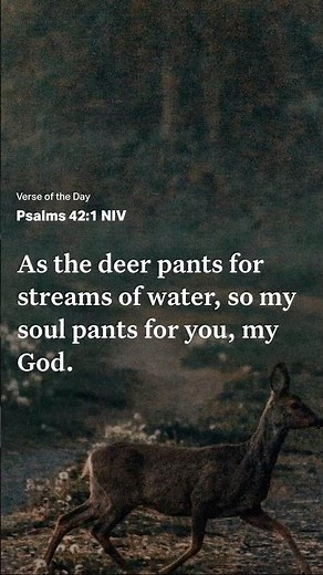 Verse of the Day | Psalms 42:1 NIV | As the deer pants for water, my soul pants for you, my God❤️❤️