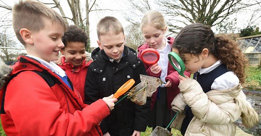 Net Zero Carbon Schools | The Church of England