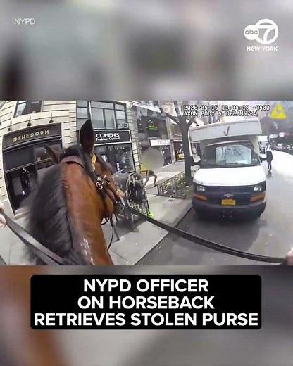 NYPD officer on horseback retrieves stolen purse