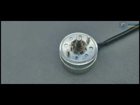 WL 0623 Rotary Solenoid Actutor