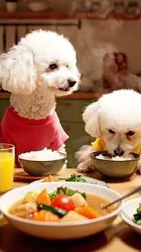 Mom Dog’s Homemade Feast 🍲🐾 Cooking Love for Her Family! ❤️
