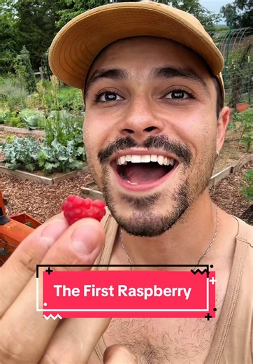 My first raspberry!!! 🤩✨ #garden #farmlife #abundance | garden