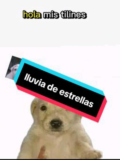 tiktok me elimino el video XD #viral#viarl #viral