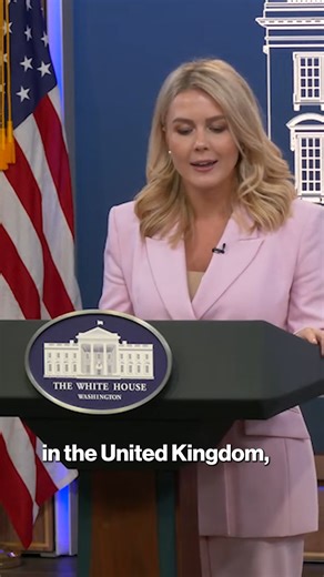 A Grammy Award-winning rock star left White House press secretary Karoline Leavitt stunned with his question about free speech and political asylum during Monday’s briefing. | New York Post Entertainment