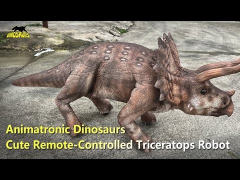 Mini Animatronic Triceratops – Remote-Controlled Dinosaur Robot