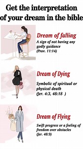 Bible Study Tool on your Phone | Light Bible