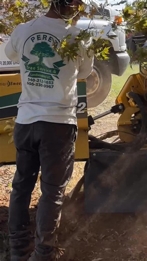 #StumpGrinding in Virginia | Perez Tree Service & Landscaping LLC