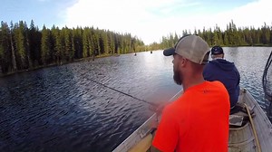 How to Catch Trout While Trolling with Flashers from a Boat - Trout Fishing with Flashers Out West with Chris shows us how he caught a mess of trout while trolling from a boat. This tactic looks highly customizable as well as cross species function-able. What do you think? Find out more about the KastKing Sharky II Spinning reel: http://amzn.to/2rvgBxu | KastKing