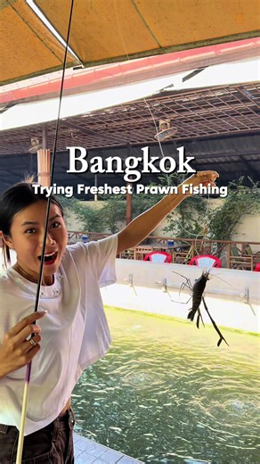Experience Fresh Prawn Fishing in Bangkok