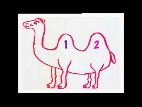 Sally The Camel | Nursery Rhymes | Kids Song | Baby Rhymes - Kids TV