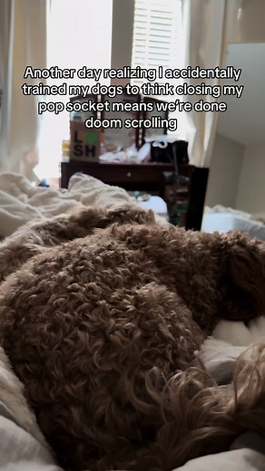 Pavlovian Training Tips for Dogs Using PopSockets
