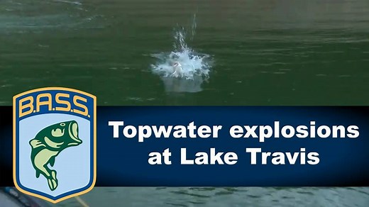 105K views · 1.7K reactions | We love topwater strikes! | Bassmaster | Facebook