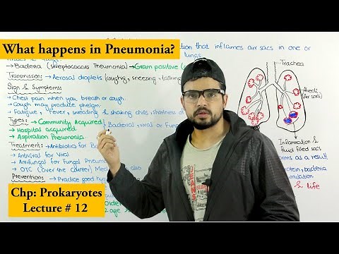 Pneumonia disease | Causes, Symptoms, Transmission, prevention and treatment |