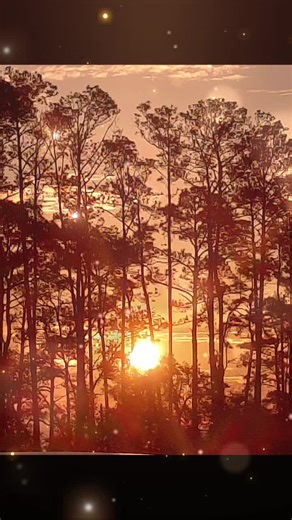 🌊♏️⛵️Jessica Rowe⛵️🌊 (@jessica.rowe52)’s videos with Oceans by Hillsong United - wordbucks ✨