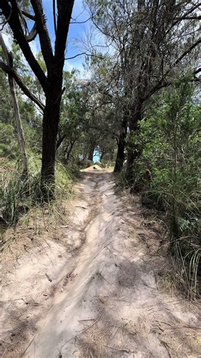 Understanding Farm Glitches in MTB Bikes
