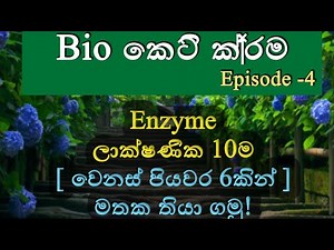 Biology Short cuts- part 4| Enzyme | එන්සයිම ලක්ෂණ 10