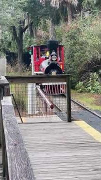 Jacksonville Zoo General Train Arriving at Trout River Station 11/8/2025