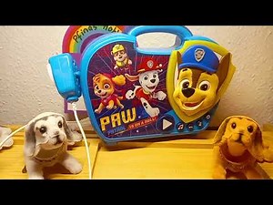 Paw Patrol Toy Box ( Karaoke Theme Song ) #pawpatrol