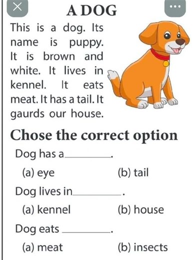 Comprehension Worksheet Practice | Reading Comprehension for Kids | English Learning Worksheet